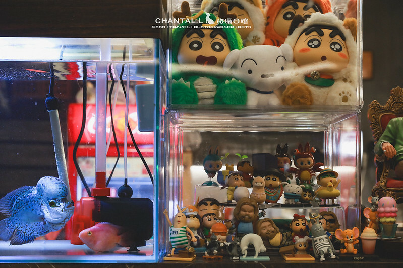 1J6A1307-2 拷貝 1J6A1307-2 拷貝