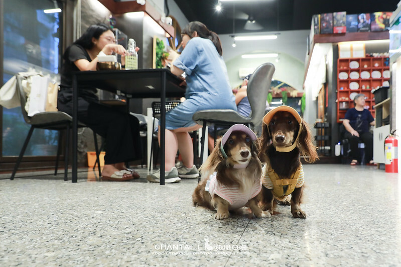 1J6A1239-2 拷貝 1J6A1239-2 拷貝