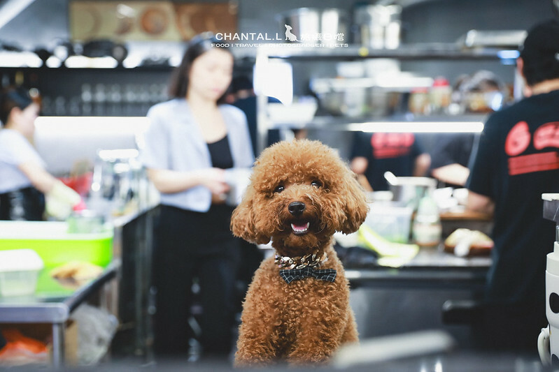 1J6A1269-2 拷貝 1J6A1269-2 拷貝