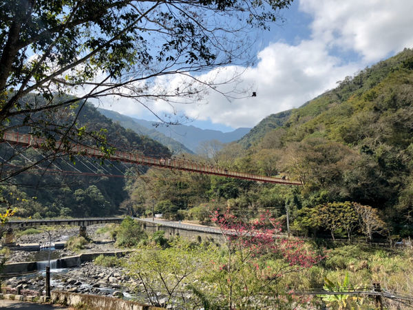 新竹五峰.張學良文化學居.將軍溫泉.三毛故居.賞櫻