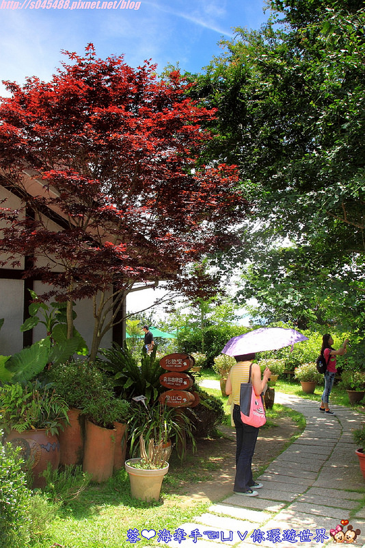 【新竹▍親子餐廳】山上人家森林農場ღ超級難抵達，雲端上的歐洲莊園~