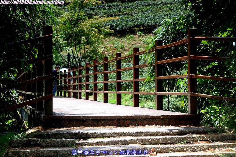 【新竹▍親子餐廳】山上人家森林農場ღ超級難抵達，雲端上的歐洲莊園~