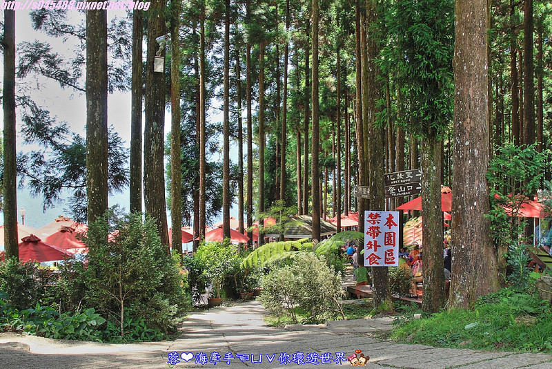 【新竹▍親子餐廳】山上人家森林農場ღ超級難抵達，雲端上的歐洲莊園~