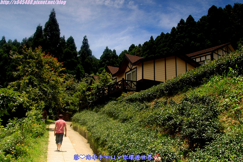 【新竹▍親子餐廳】山上人家森林農場ღ超級難抵達，雲端上的歐洲莊園~