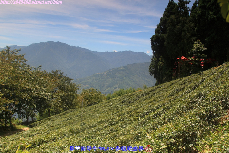 【新竹▍親子餐廳】山上人家森林農場ღ超級難抵達，雲端上的歐洲莊園~
