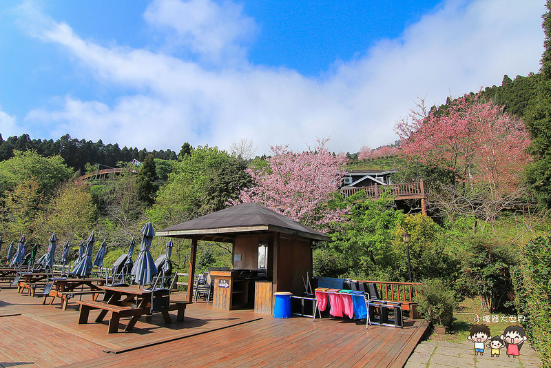 山上人家櫻花 078