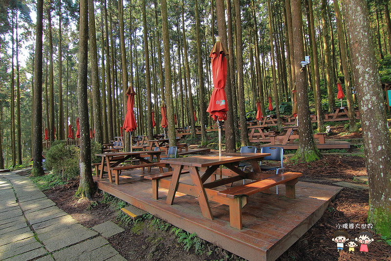 山上人家櫻花 092