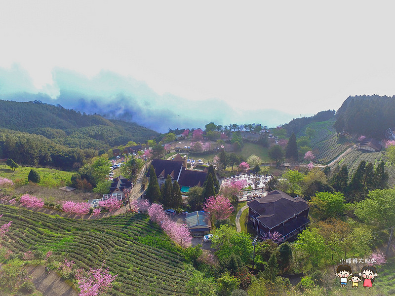 山上人家櫻花 001