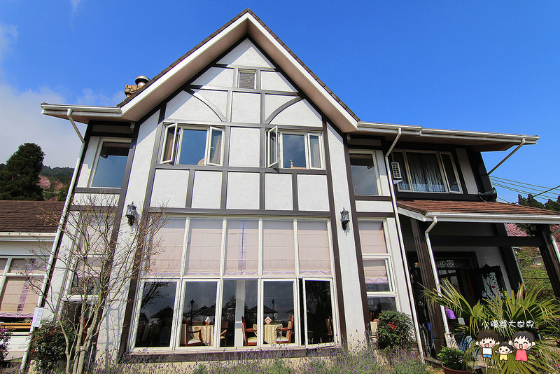 山上人家櫻花 075