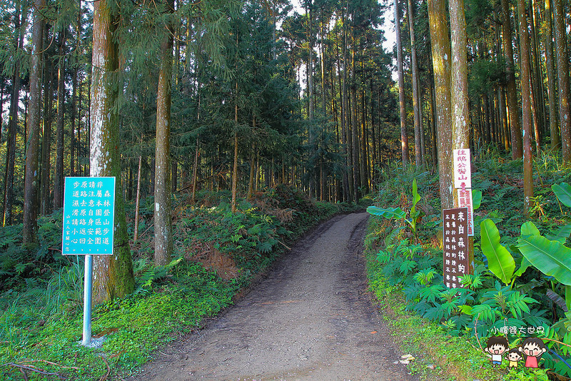 山上人家櫻花 031