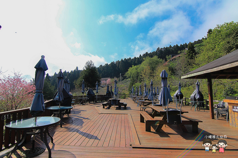 山上人家櫻花 079