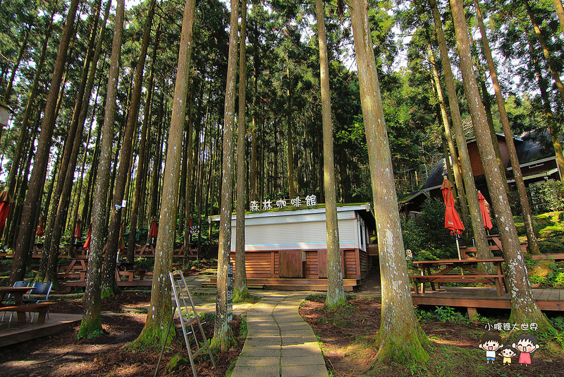 山上人家櫻花 097