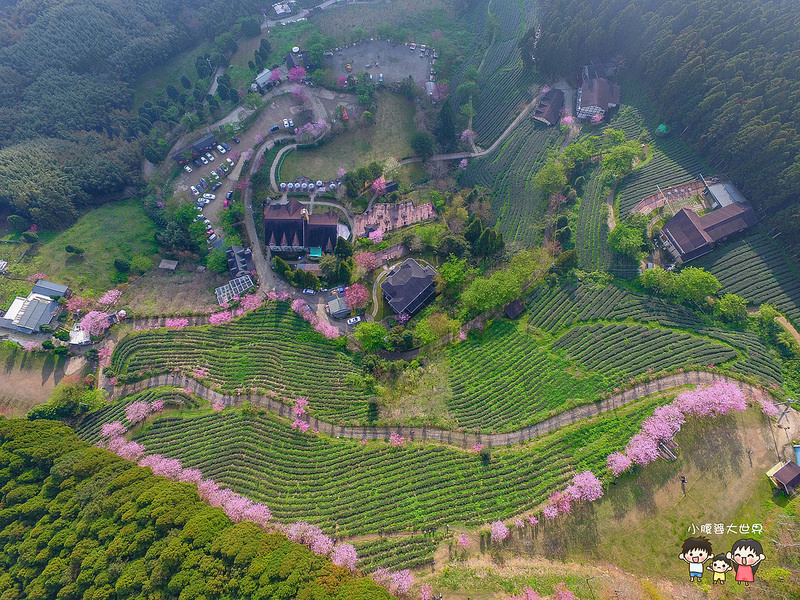 山上人家櫻花 005