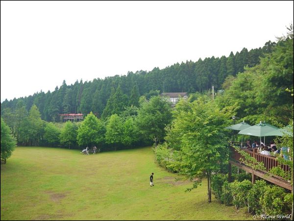 新竹山上人家森林農場P1560025_調整大小1.JPG