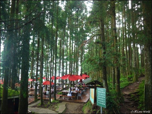 新竹山上人家森林農場P1560092_調整大小1.JPG