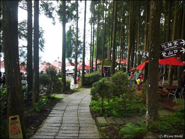新竹山上人家森林農場P1560062_調整大小1.JPG