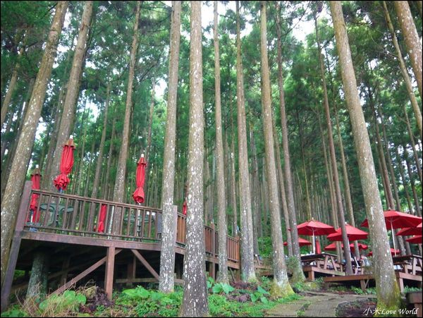 新竹山上人家森林農場P1560096_調整大小1.JPG