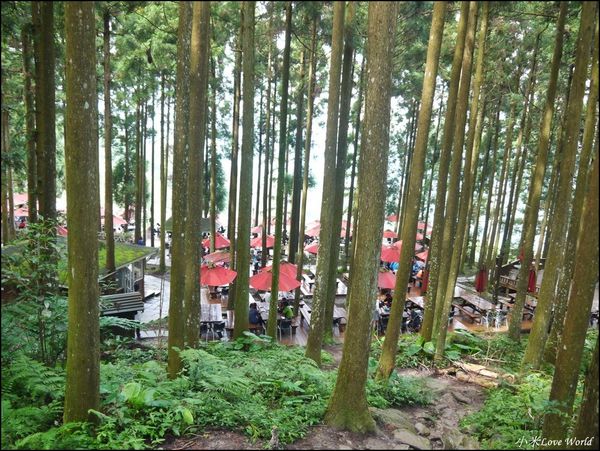 新竹山上人家森林農場P1560082_調整大小1.JPG