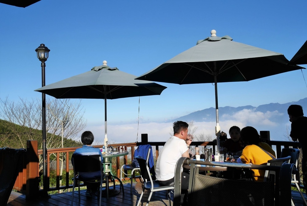 【新竹五峰 | 景点】云海上的梦幻落羽松欧风庄园x森林咖啡馆山上人家