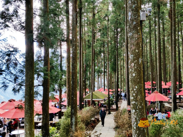 nEO_IMG_20160210_103218