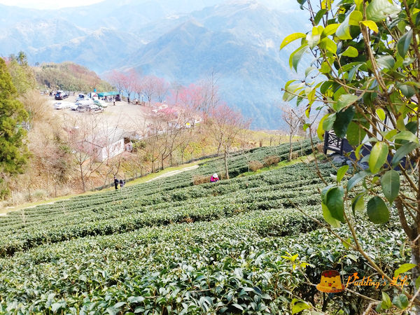 nEO_IMG_20160210_103013