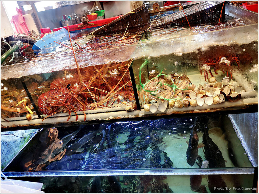 來加賀活海鮮 - 030.jpg