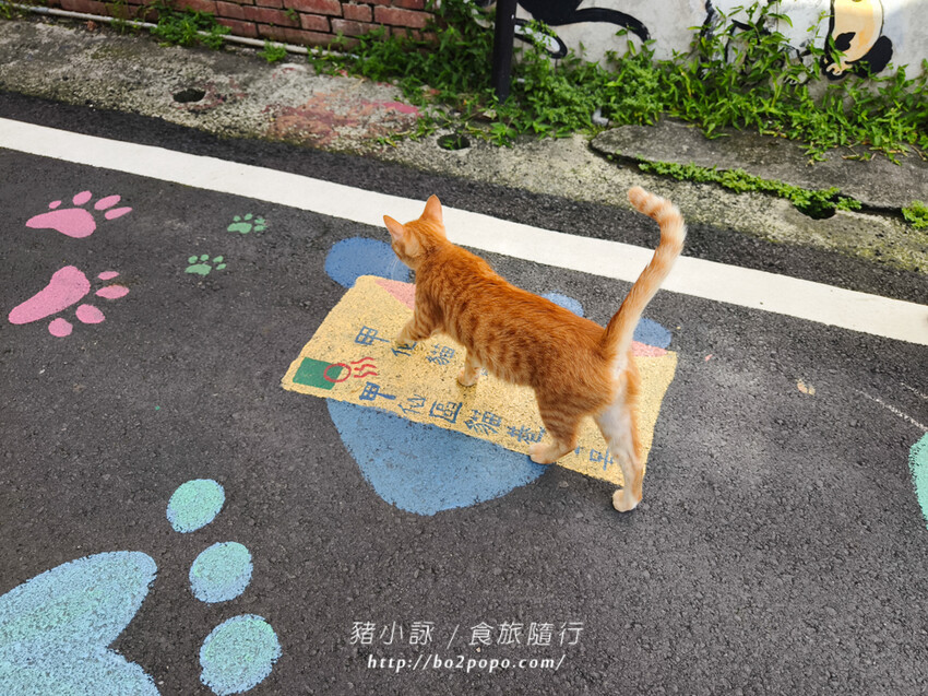 高雄。甲仙》仙香飲食店。老字號餐廳(米其林必比登)+貓巷彩繪順遊