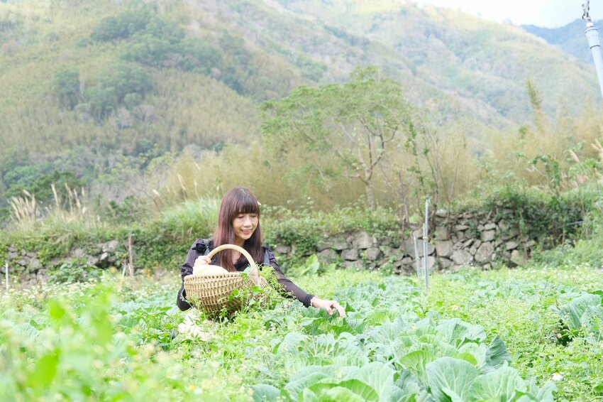 新竹尖石鄉秘境 那羅山谷裡的金盞花海 『 山裏花見那羅灣金盞花季』那羅灣休閒農業區 - 安妮的天空