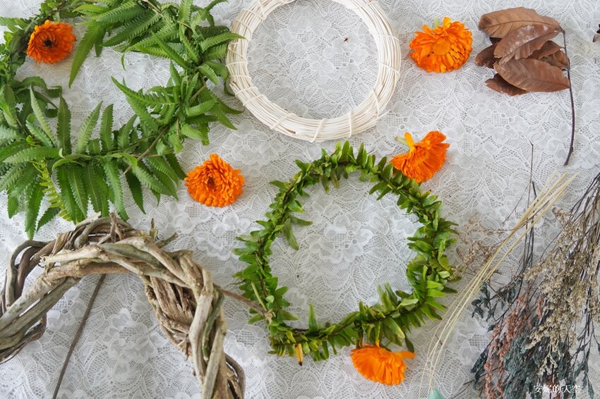 新竹尖石鄉秘境 那羅山谷裡的金盞花海 『 山裏花見那羅灣金盞花季』那羅灣休閒農業區 - 安妮的天空