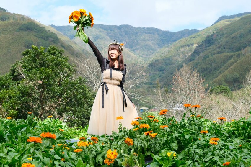 新竹尖石鄉秘境 那羅山谷裡的金盞花海 『 山裏花見那羅灣金盞花季』那羅灣休閒農業區 - 安妮的天空