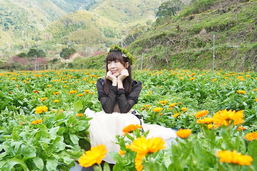 新竹尖石鄉秘境 那羅山谷裡的金盞花海 『 山裏花見那羅灣金盞花季』那羅灣休閒農業區 - 安妮的天空