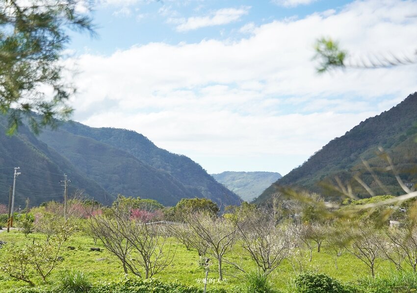 新竹尖石鄉秘境 那羅山谷裡的金盞花海 『 山裏花見那羅灣金盞花季』那羅灣休閒農業區 - 安妮的天空