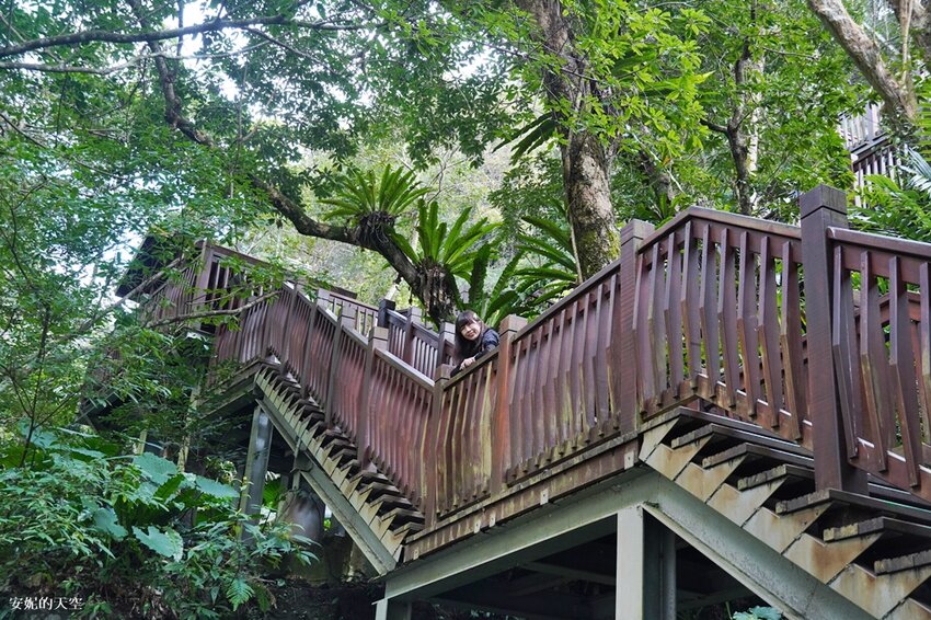 新竹尖石鄉秘境 那羅山谷裡的金盞花海 『 山裏花見那羅灣金盞花季』那羅灣休閒農業區 - 安妮的天空