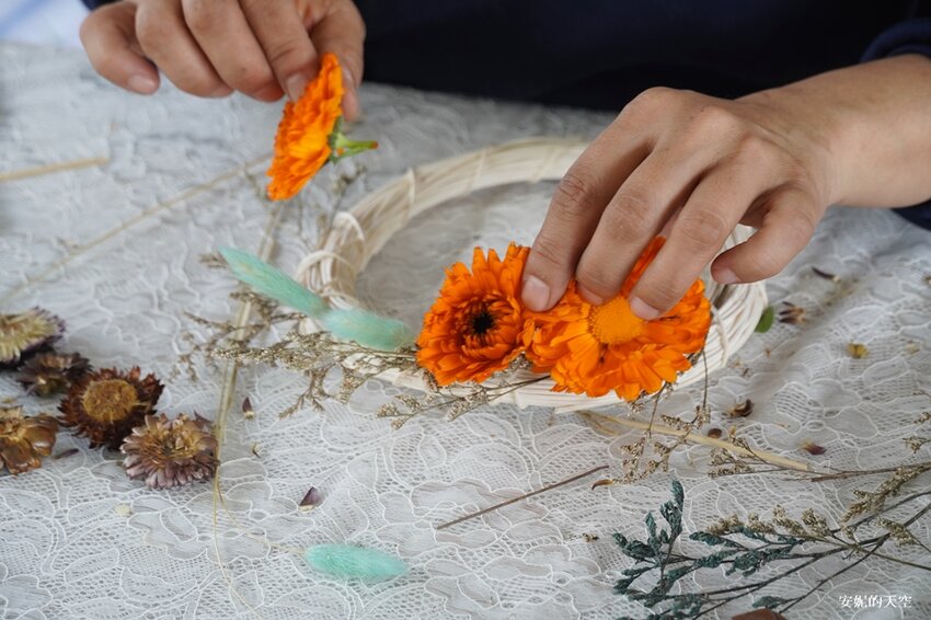 新竹尖石鄉秘境 那羅山谷裡的金盞花海 『 山裏花見那羅灣金盞花季』那羅灣休閒農業區 - 安妮的天空