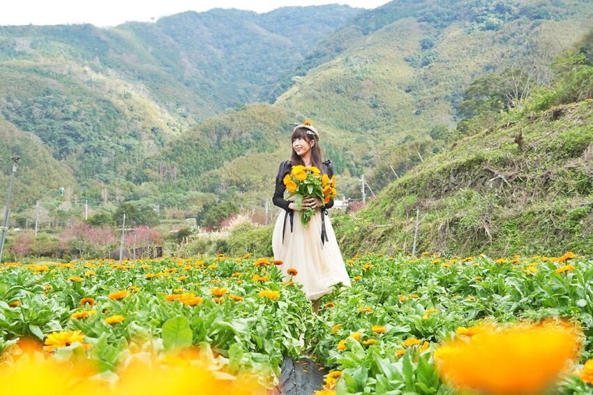 新竹尖石鄉秘境 那羅山谷裡的金盞花海 『 山裏花見那羅灣金盞花季』那羅灣休閒農業區 - 安妮的天空