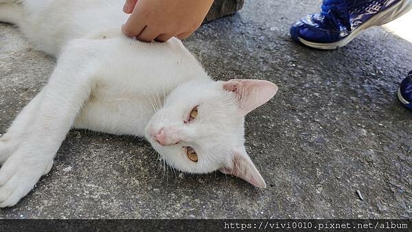 新北.貢寮-新鮮的海味搭配上美麗的海景~滷鮑魚、海鮮米粉都超讚!!還可以喝咖啡看海景