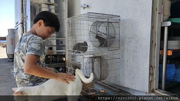 新北.貢寮-新鮮的海味搭配上美麗的海景~滷鮑魚、海鮮米粉都超讚!!還可以喝咖啡看海景