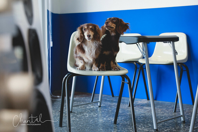 _J6A0766-2拷貝 拷貝