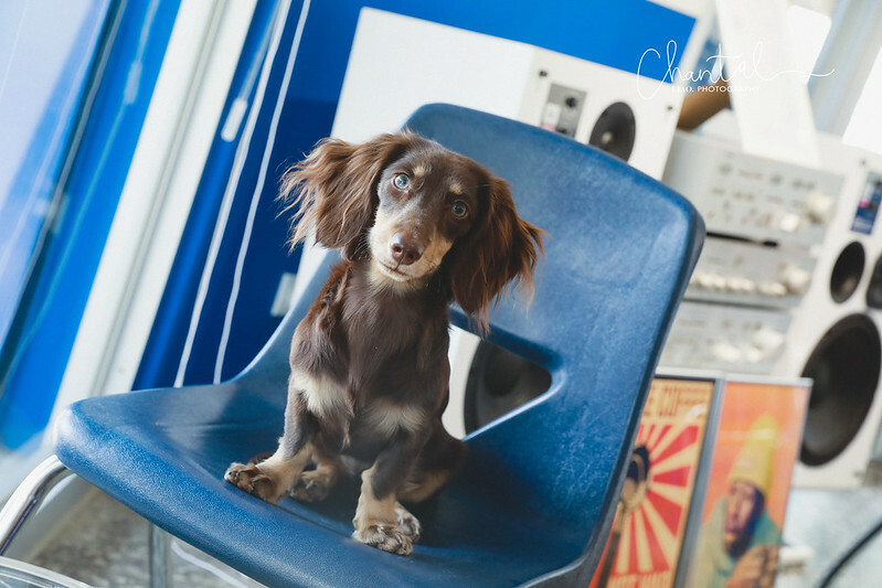 _J6A0740-2拷貝 拷貝