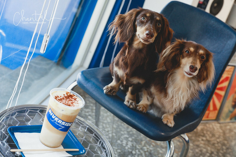 _J6A0717-2拷貝 拷貝