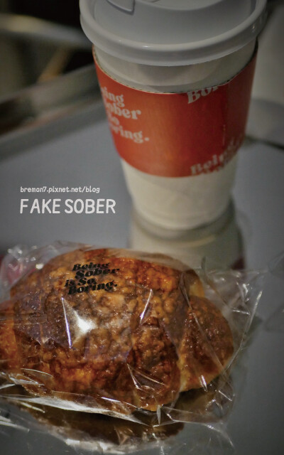fakesober-17
