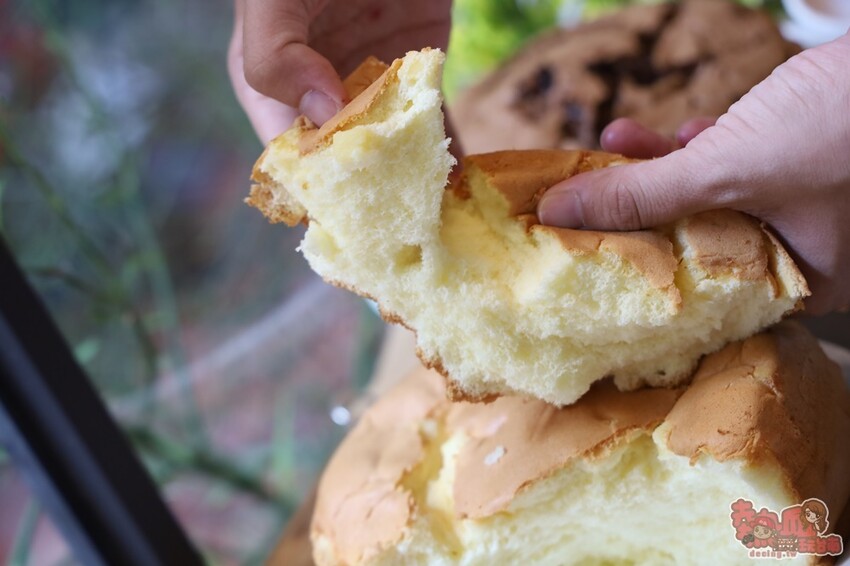 【台南甜點】掌糕點手撕蛋糕!可愛又好吃的手撕蛋糕口味超多,芙蓉蛋塔新鮮現烤超人氣~ - 熱血玩台南。跳躍新世界