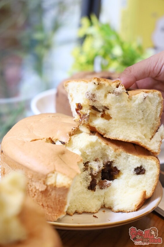 【台南甜點】掌糕點手撕蛋糕!可愛又好吃的手撕蛋糕口味超多,芙蓉蛋塔新鮮現烤超人氣~ - 熱血玩台南。跳躍新世界