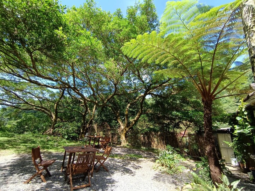 【台北.金山】微微山房森林系咖啡廳。寵物超級友善。14人即可包場獨享陽光午後的美好古宅