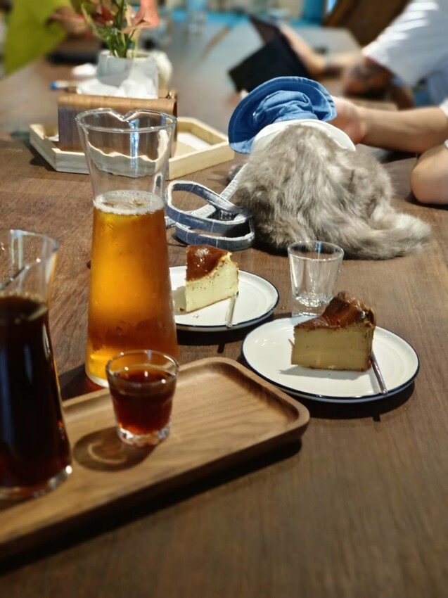 【台北.金山】微微山房森林系咖啡廳。寵物超級友善。14人即可包場獨享陽光午後的美好古宅