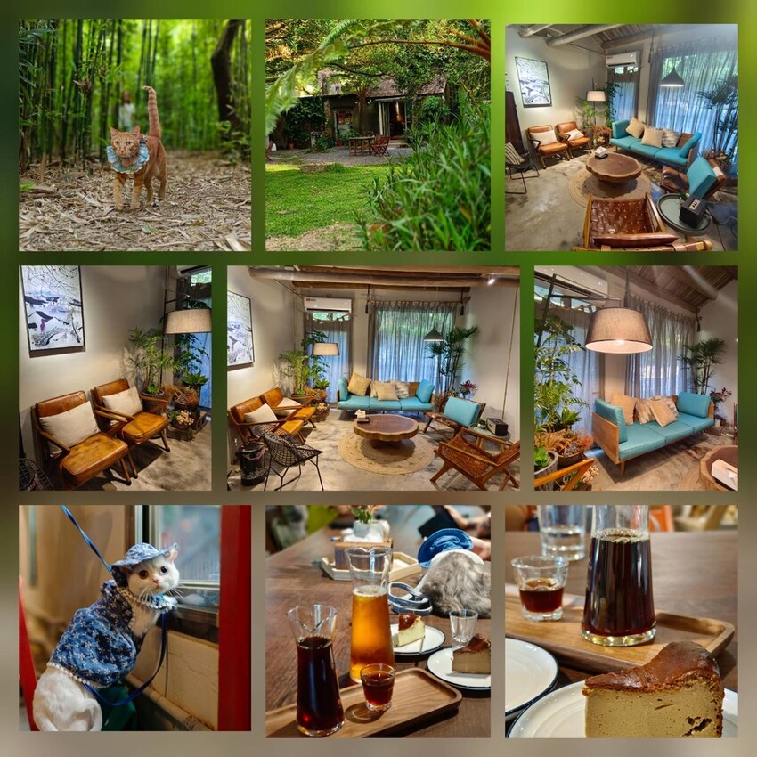 【台北.金山】微微山房森林系咖啡廳。寵物超級友善。14人即可包場獨享陽光午後的美好古宅