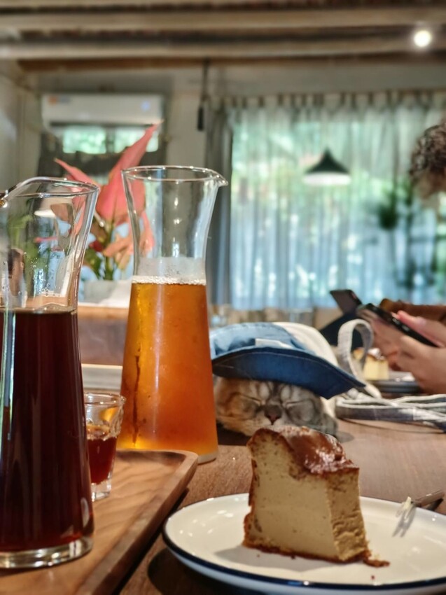 【台北.金山】微微山房森林系咖啡廳。寵物超級友善。14人即可包場獨享陽光午後的美好古宅