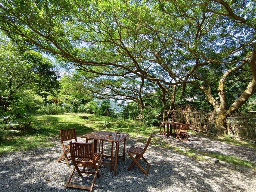 【台北.金山】微微山房森林系咖啡廳。寵物超級友善。14人即可包場獨享陽光午後的美好古宅