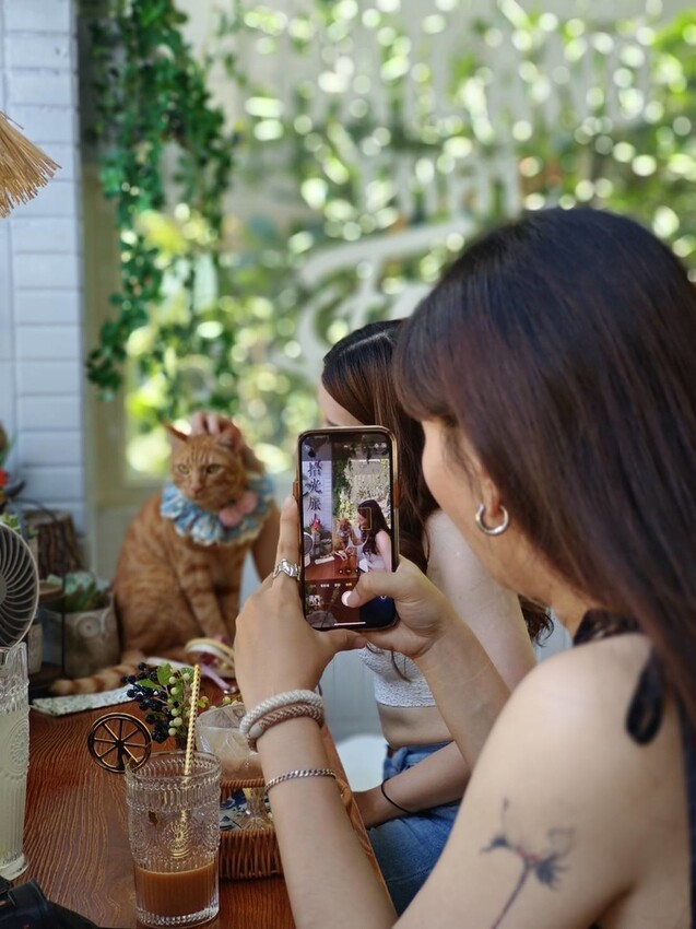 【宜蘭.頭城】拾光旅人泰式餐廳。寵物友善餐廳。泰菜好吃服務貼心的網美店