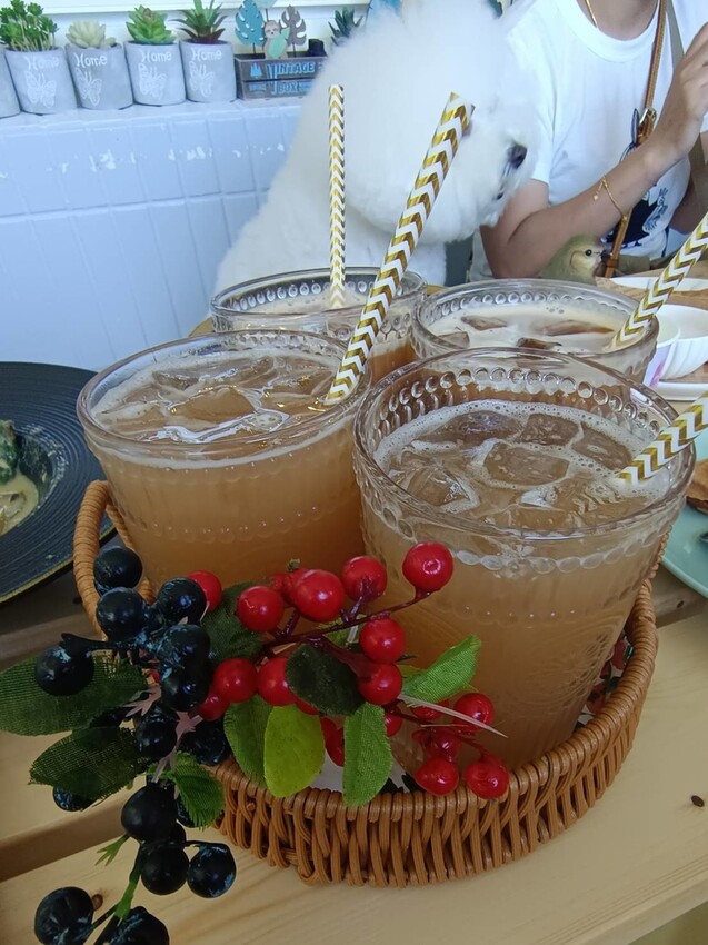 【宜蘭.頭城】拾光旅人泰式餐廳。寵物友善餐廳。泰菜好吃服務貼心的網美店